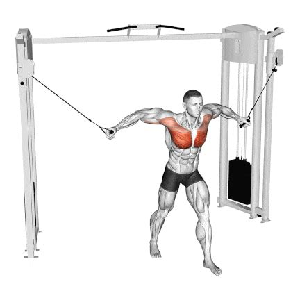 Cable chest fly
