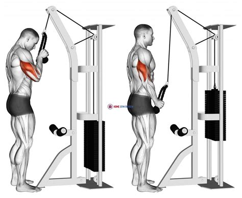 Tricep pushdown