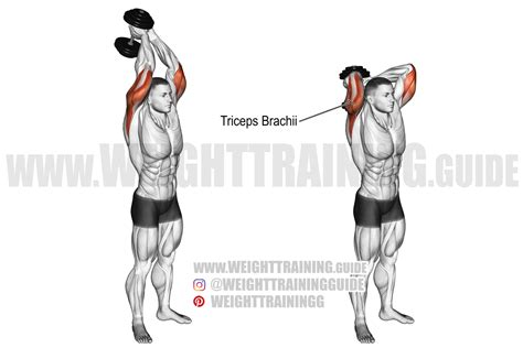 Overhead tricep extension