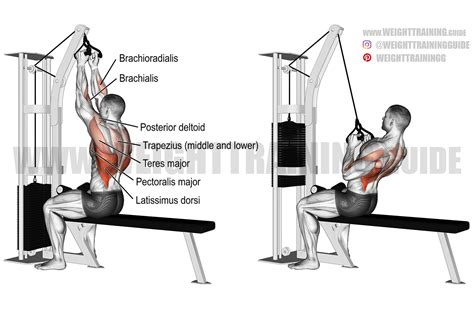 Lat pulldown close grip