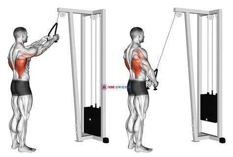 Straight arm pulldown