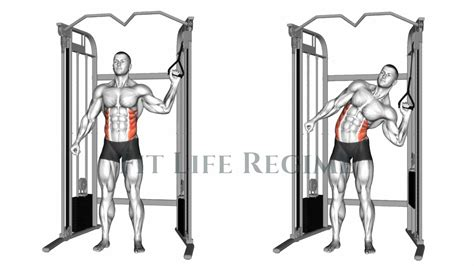 Cable oblique crunches
